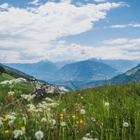 Ferienwohnungen Wiesbauer Scena Kültér fotó