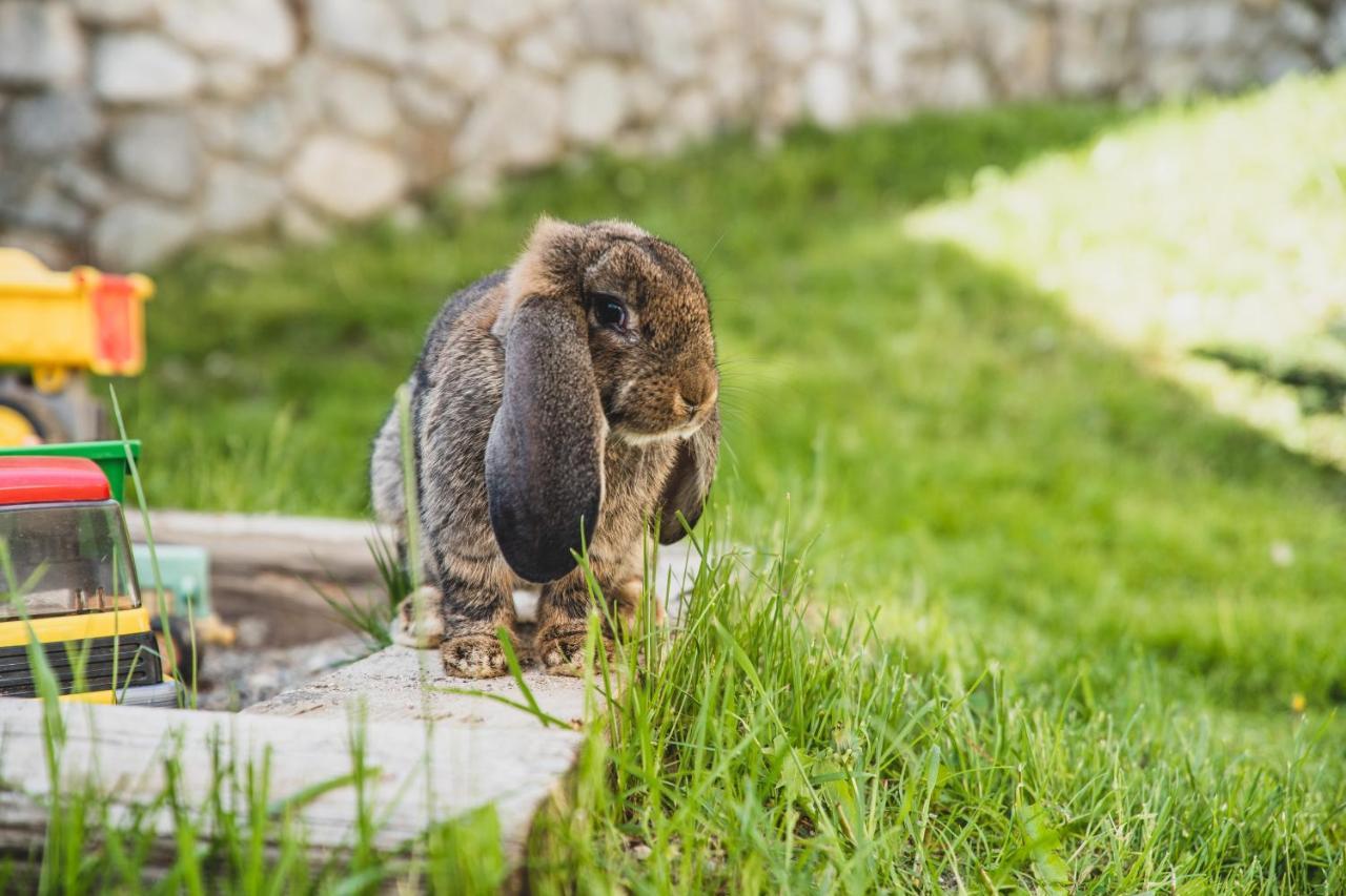 Ferienwohnungen Wiesbauer Scena Kültér fotó