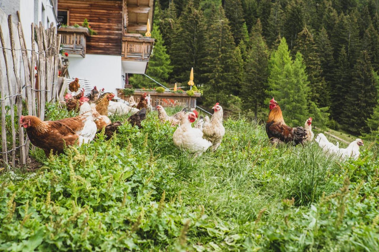 Ferienwohnungen Wiesbauer Scena Kültér fotó